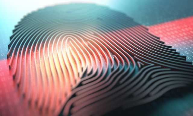 Scannerl - The Modular Distributed Fingerprinting Engine