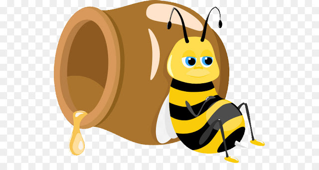 HoneyPy - A Low To Medium Interaction Honeypot