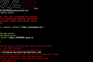 Self-XSS  - Self-XSS Attack Using Bit.Ly To Grab Cookies Tricking Users Into Running Malicious Code