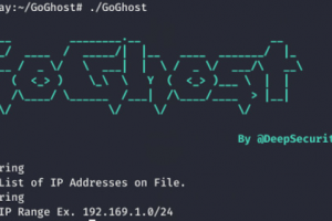 GoGhost - High Performance, Lightweight, Portable Open Source Tool For Mass SMBGhost Scan