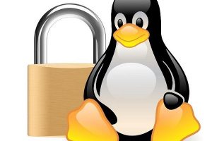 Harbian-Audit - Hardened Debian GNU/Linux Distro Auditing