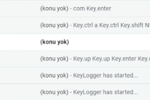 Keylogger - Get Keyboard, Mouse, ScreenShot, Microphone Inputs From Target Computer And Send To Your Mail