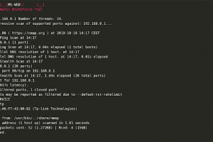 T14M4T - Automated Brute-Forcing Attack Tool
