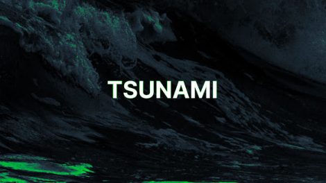 Tsunami - A General Purpose Network Security Scanner With An Extensible Plugin System For Detecting High Severity Vulnerabilities With High Confidence