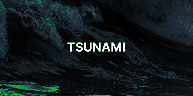 Tsunami - A General Purpose Network Security Scanner With An Extensible Plugin System For Detecting High Severity Vulnerabilities With High Confidence