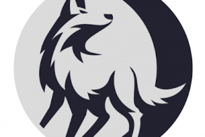 SourceWolf - Amazingly Fast Response Crawler To Find Juicy Stuff In The Source Code!