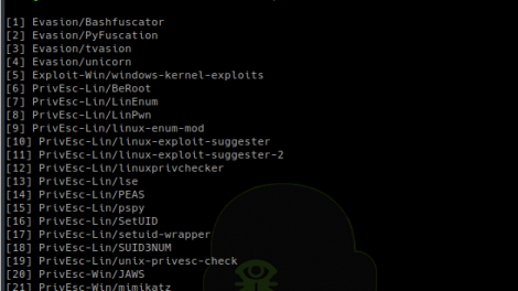 Some-Tools - Install And Keep Up To Date Some Pentesting Tools