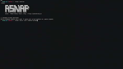 Asnap - Tool To Render Recon Phase Easier By Providing Updated Data About Which Companies Owns Which Ipv4 Or Ipv6 Addresses