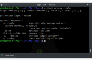 Eagle - Yet Another Vulnerability Scanner