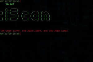 Fortiscan - A High Performance FortiGate SSL-VPN Vulnerability Scanning And Exploitation Tool